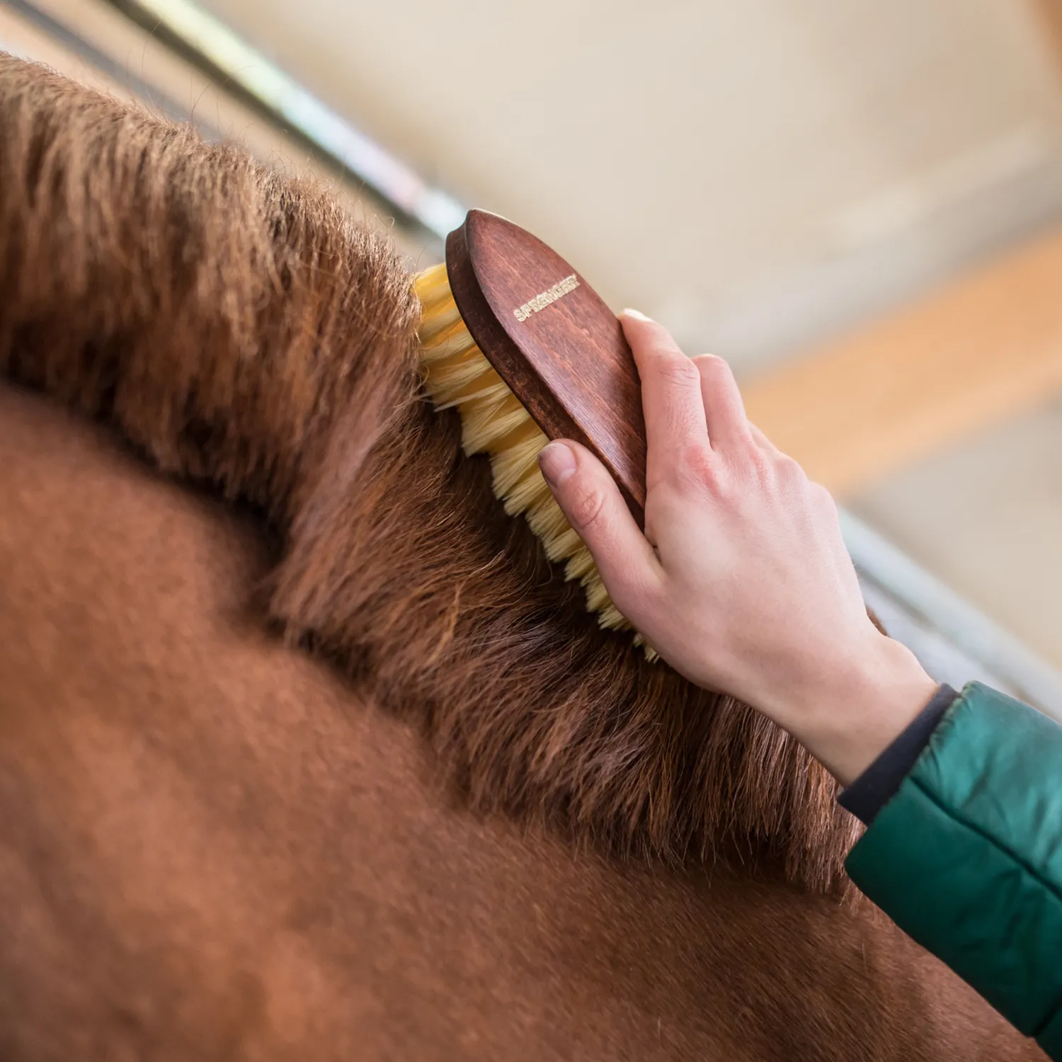 HS Sprenger Wortelborstel Perlon mahonie paard