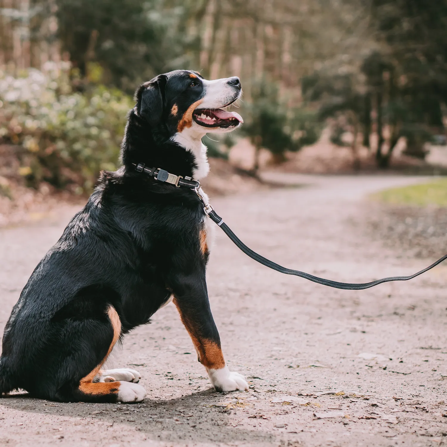HS Sprenger Camping met Hond Set Uitloopblok Lijn Mat