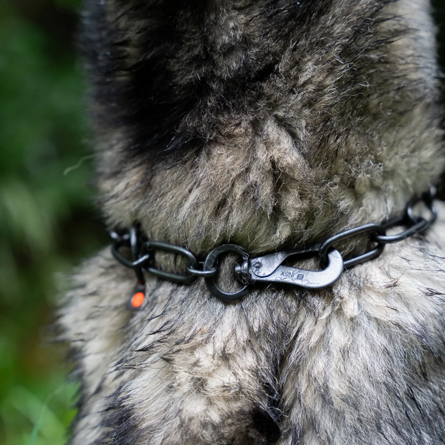 HS Sprenger Honden Halsketting RVS Zwart 4 mm Langschalmig