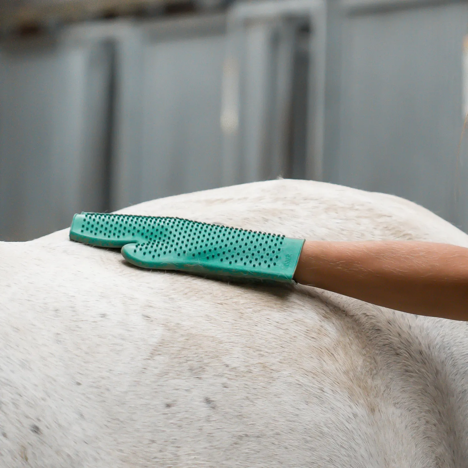 Sprenger Poetshandschoen Rubber Noppen Massage
