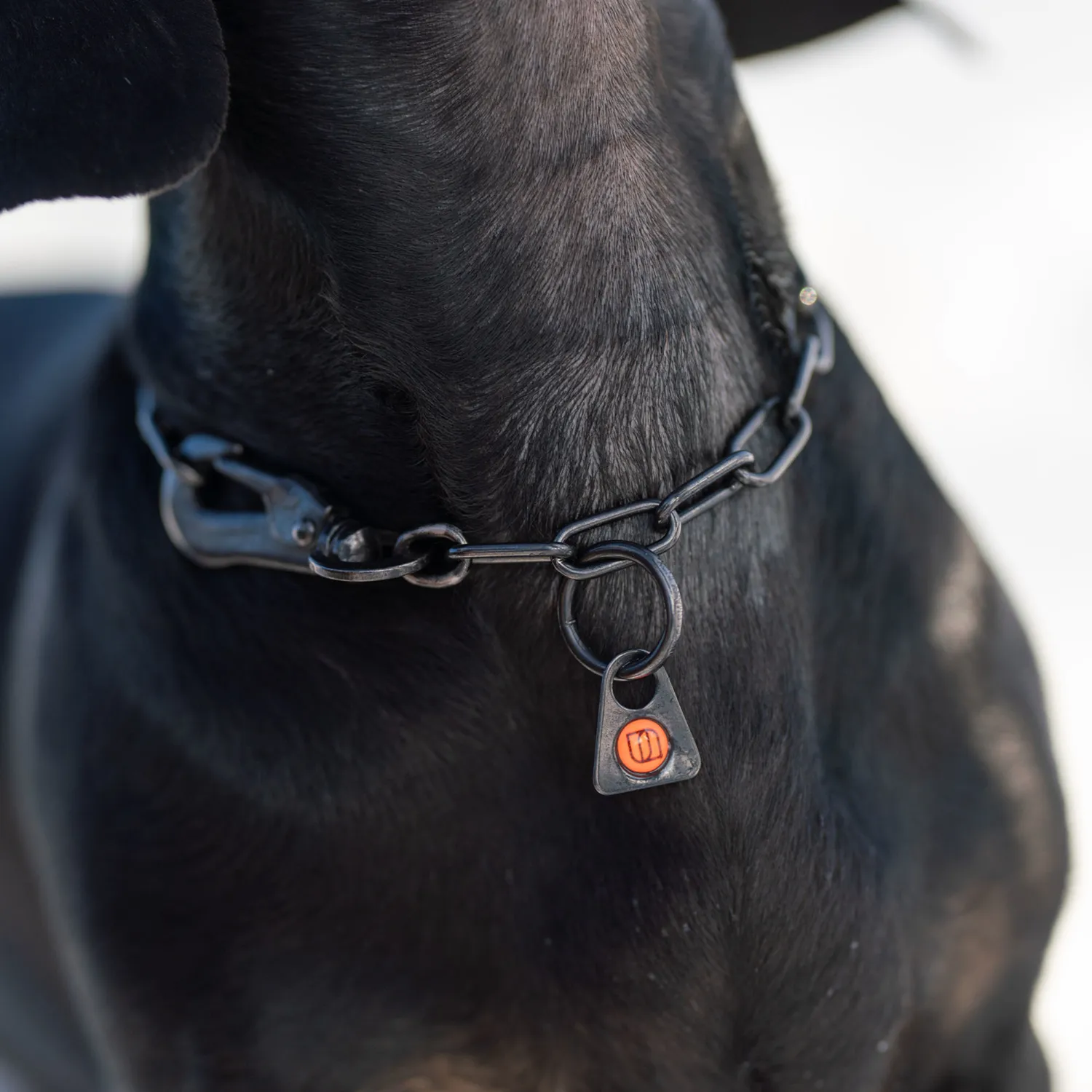 HS Sprenger 51447-57 halsketting hond 42 cm zwart