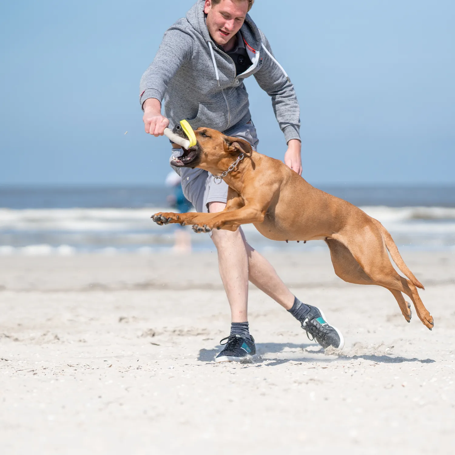 Herm Sprenger 51741 halsketting hond RVS 5,0 mm 57 cm
