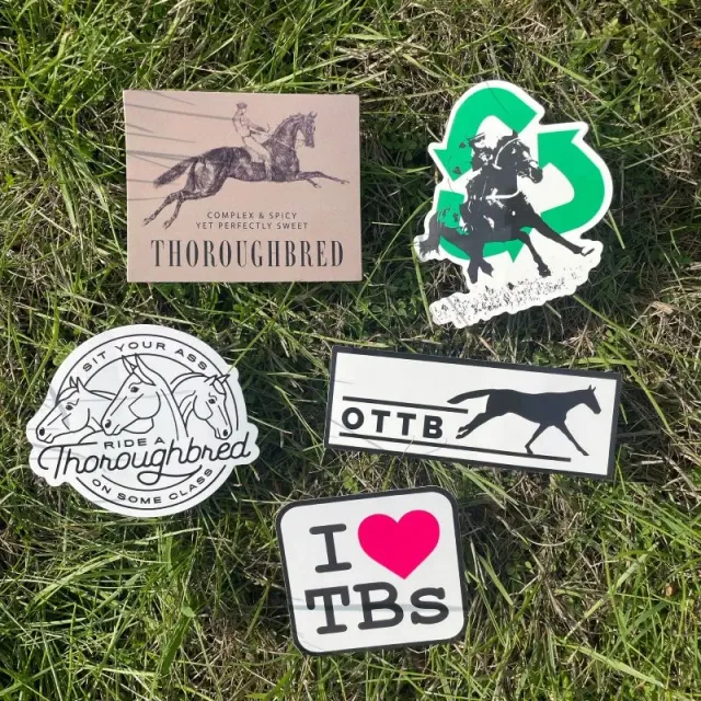 Dapplebay OTTB stickerpack multi volbloed stickers
