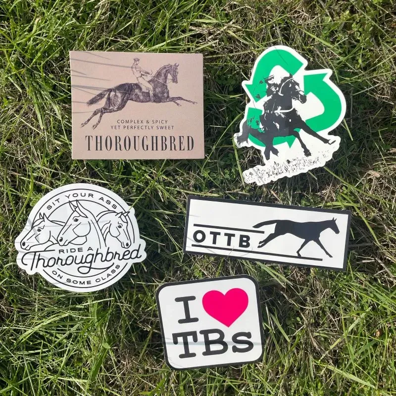 Dapplebay OTTB stickerpack multi volbloed stickers