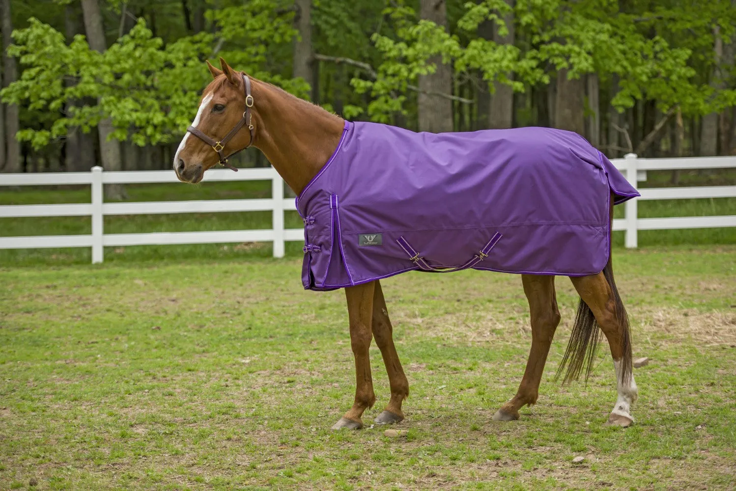TuffRider Super Comfy 1680D winterdeken paars 200 grams