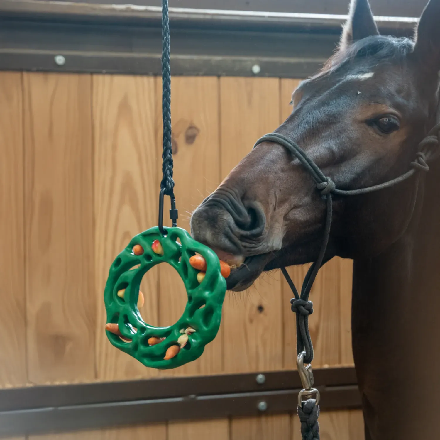 petKore Luna Ring XL Voerpuzzel Paard Rubber