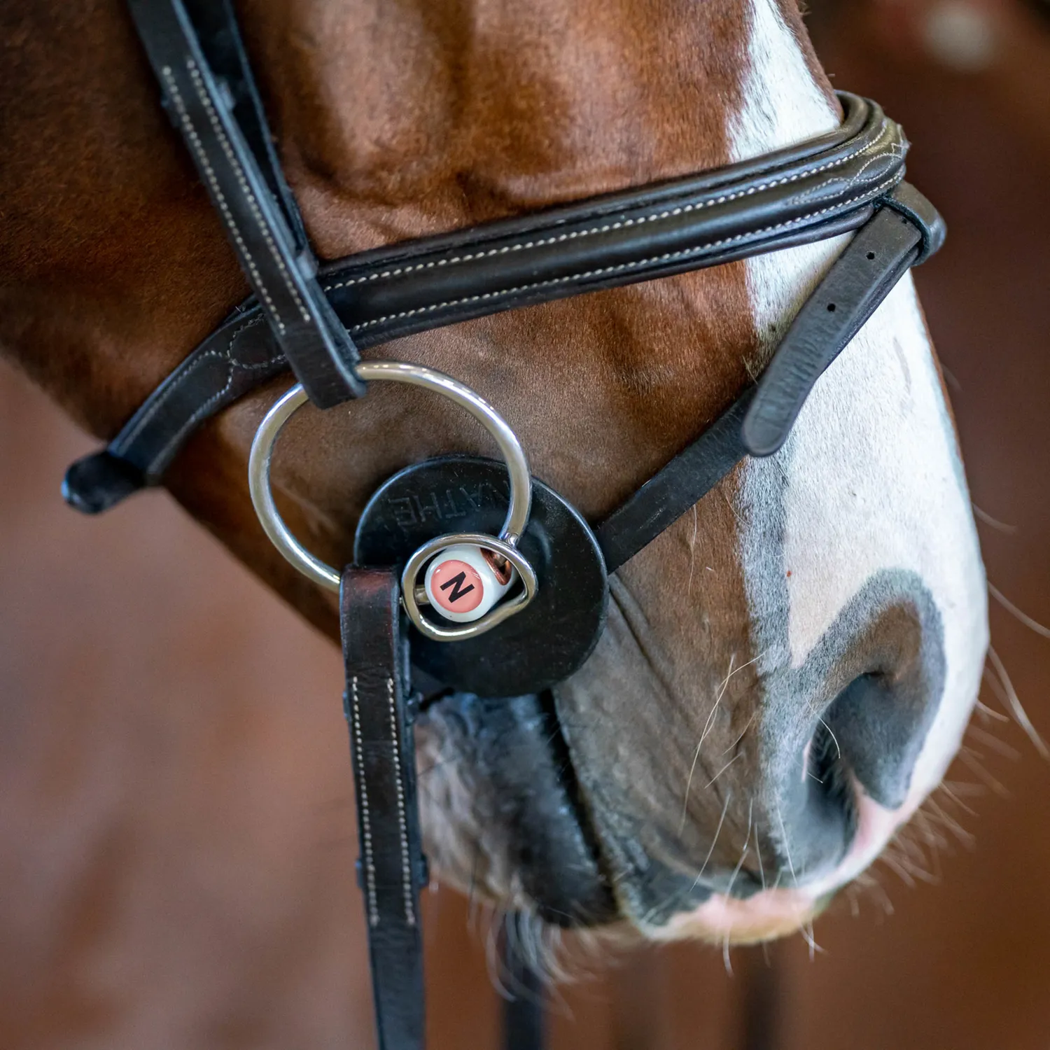 Herm Sprenger Nathe Standaardbit 20 mm paardenbit 130 mm met ring
