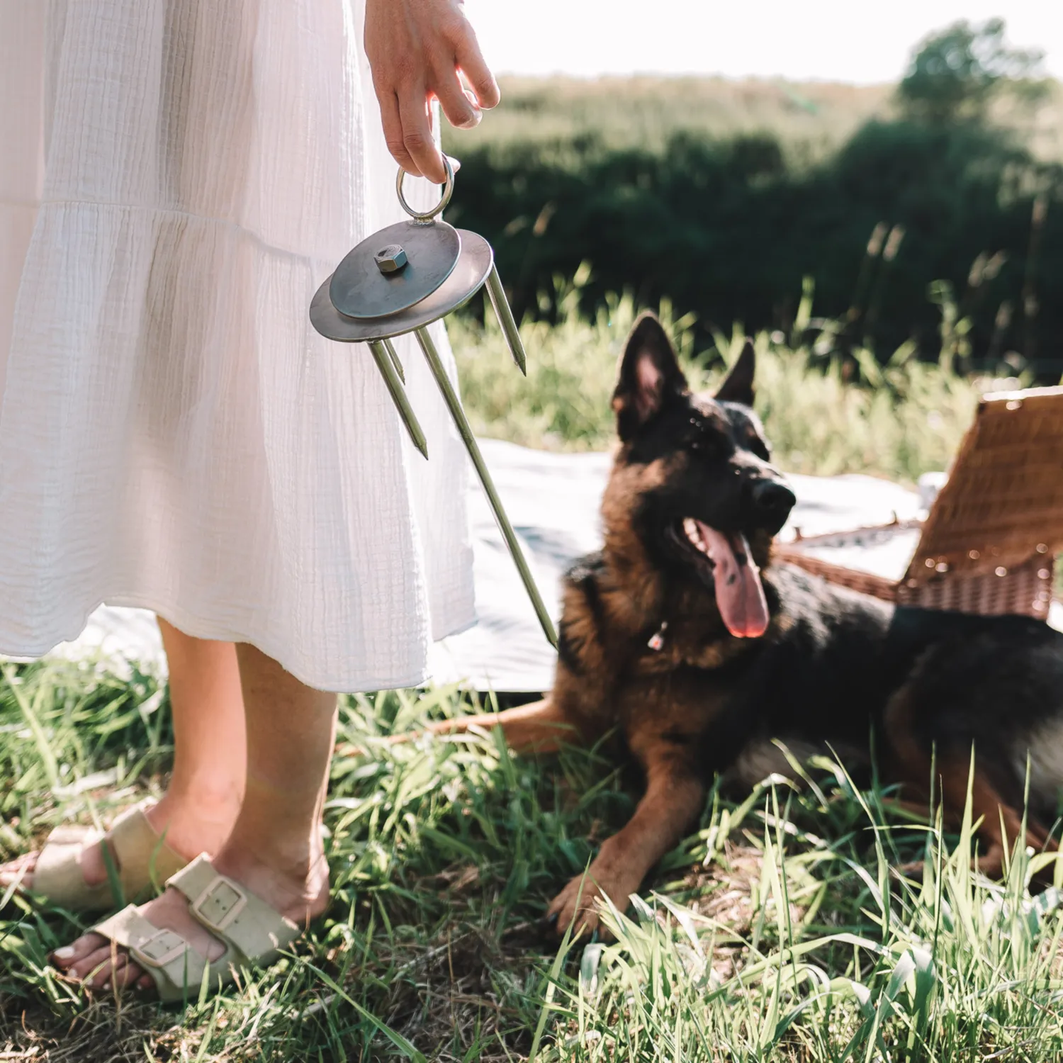 Herm Sprenger Uitloopblok Grondpen Hond RVS 40 cm