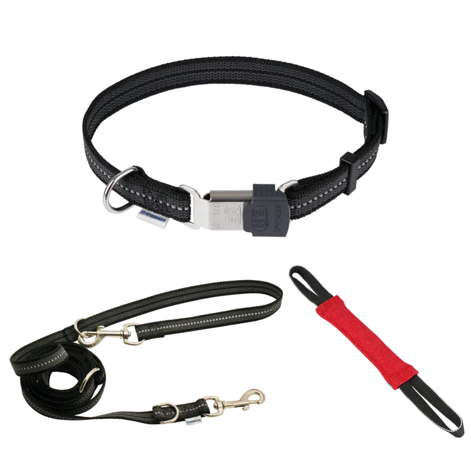 Herm Sprenger Bundle halsband 40-55cm + riem 2,3m zwart hond