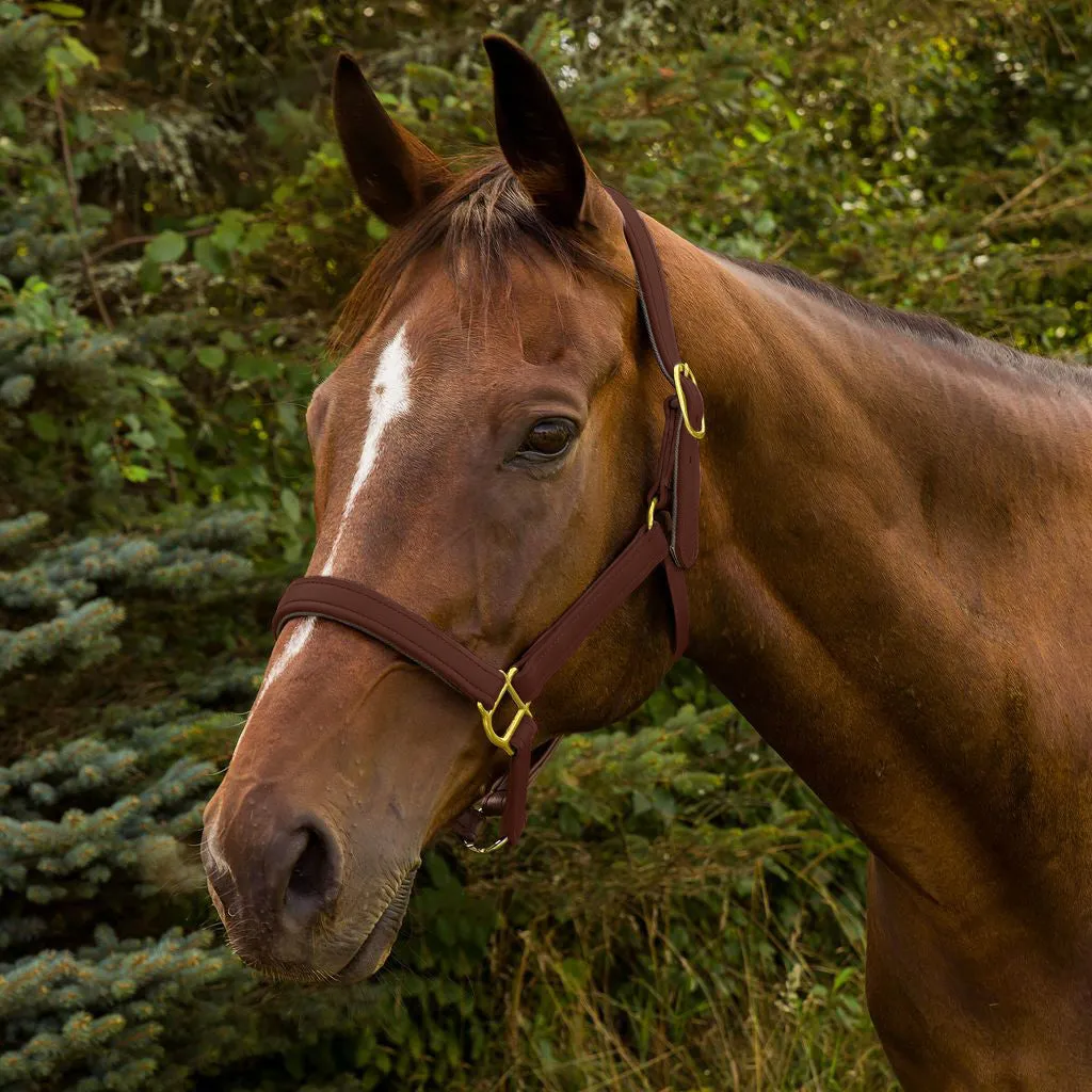 Henri de Rivel Vegan halster breakaway oakbark cob