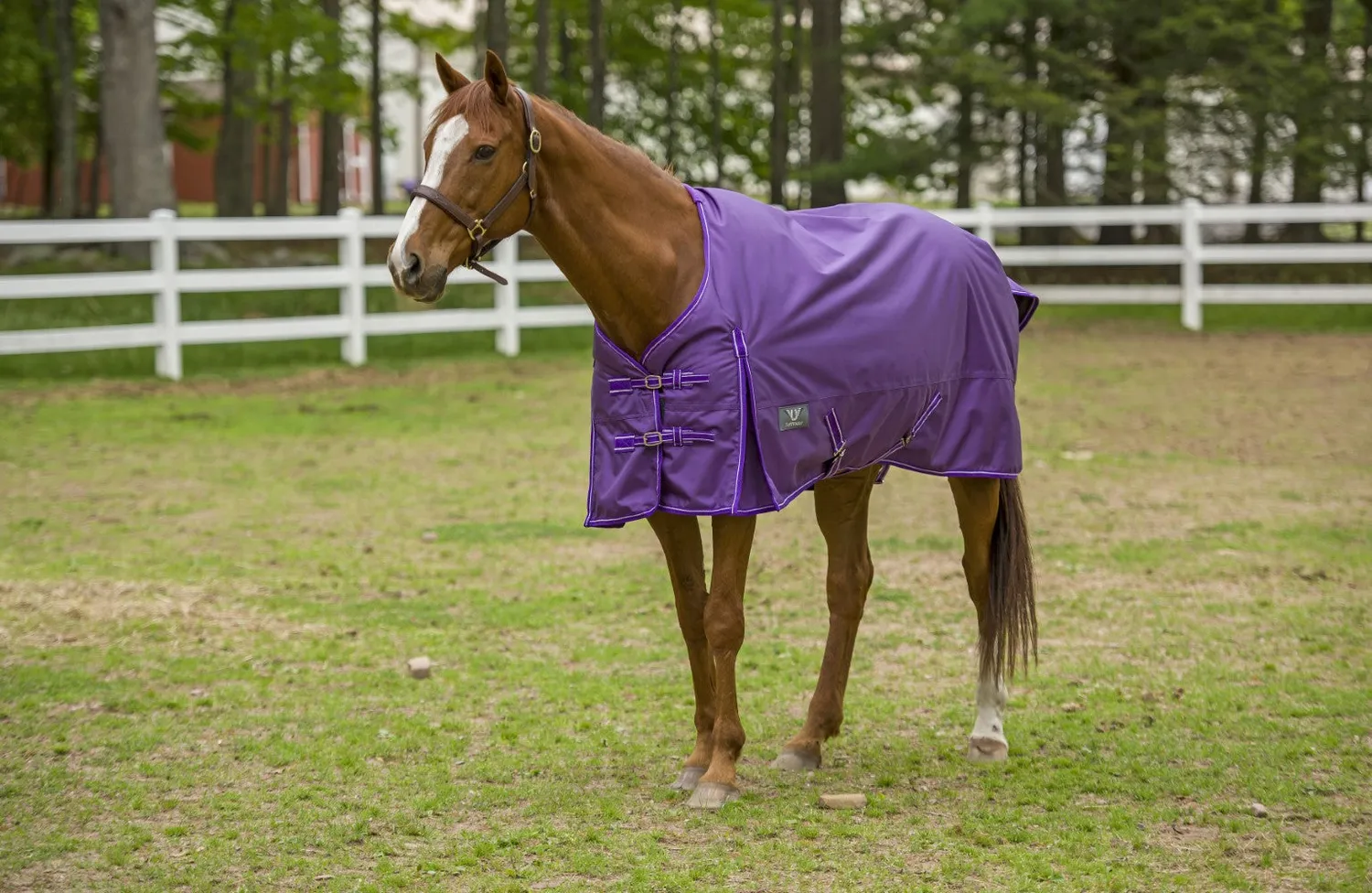 TuffRider Super Comfy 1680D winterdeken paars 200 grams