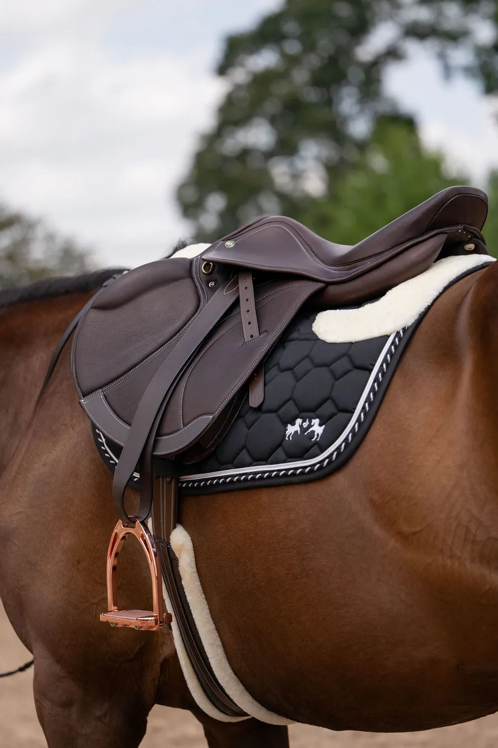 Henri de Rivel Equipe Covered Close Contact IGP springzadel Havana