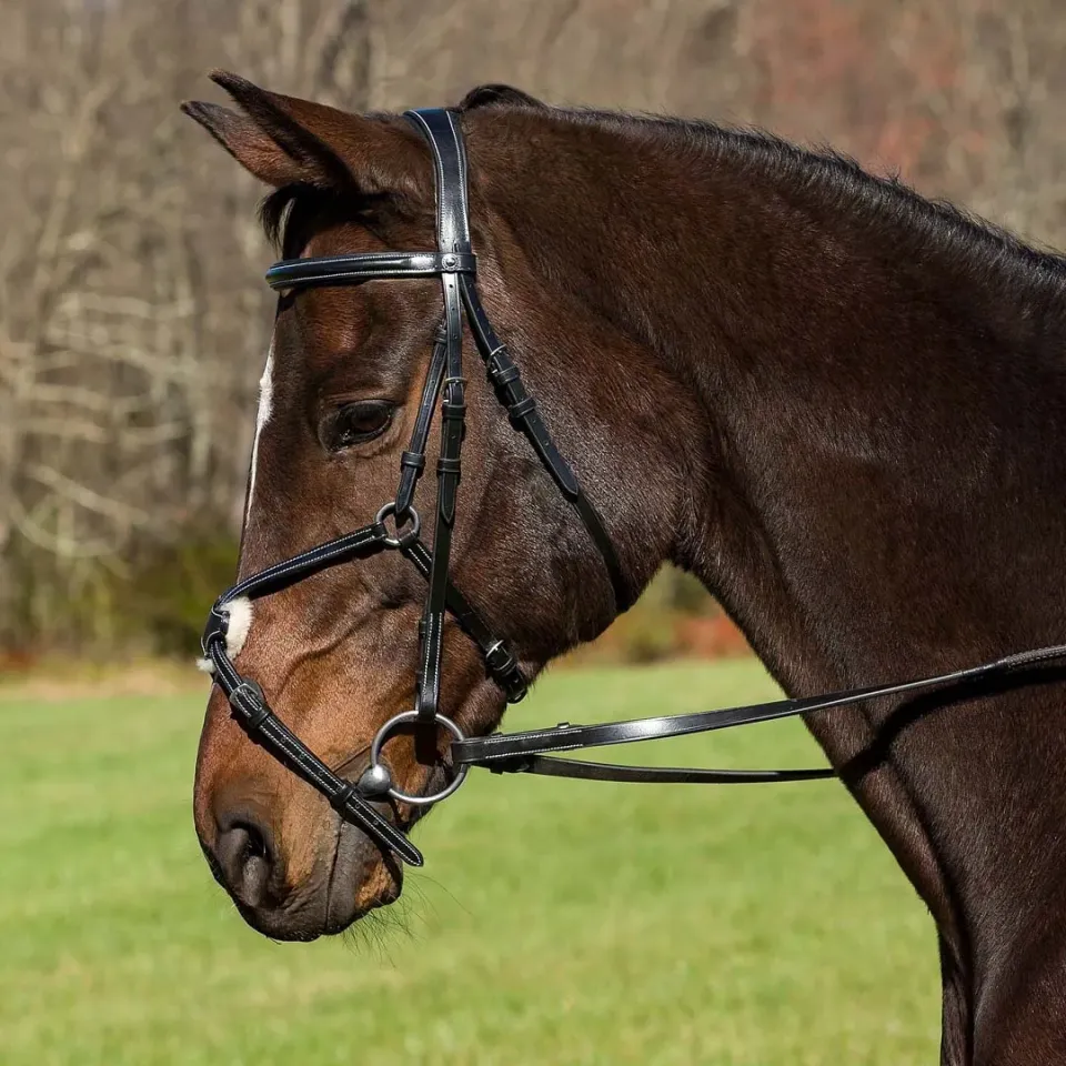 Henri de Rivel Pro Mono Crown hoofdstel figure 8 zwart cob