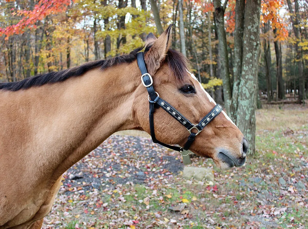 Henri de Rivel Embroidered leren halster cob