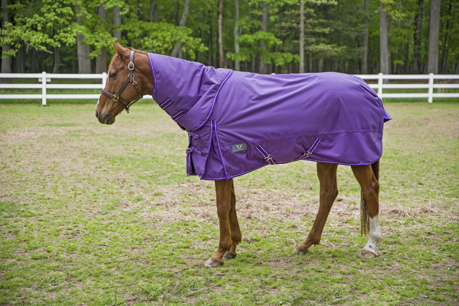 TuffRider 1680D Super Comfy winterdeken royal 350 grams