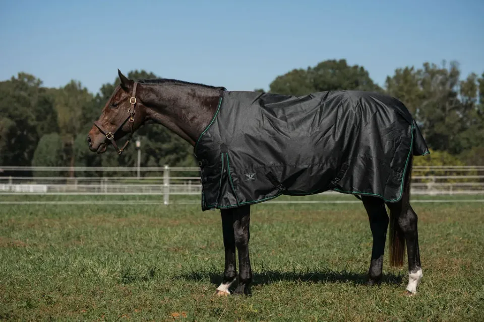 TuffRider Comfy winterdeken 200 gram zwart waterdicht