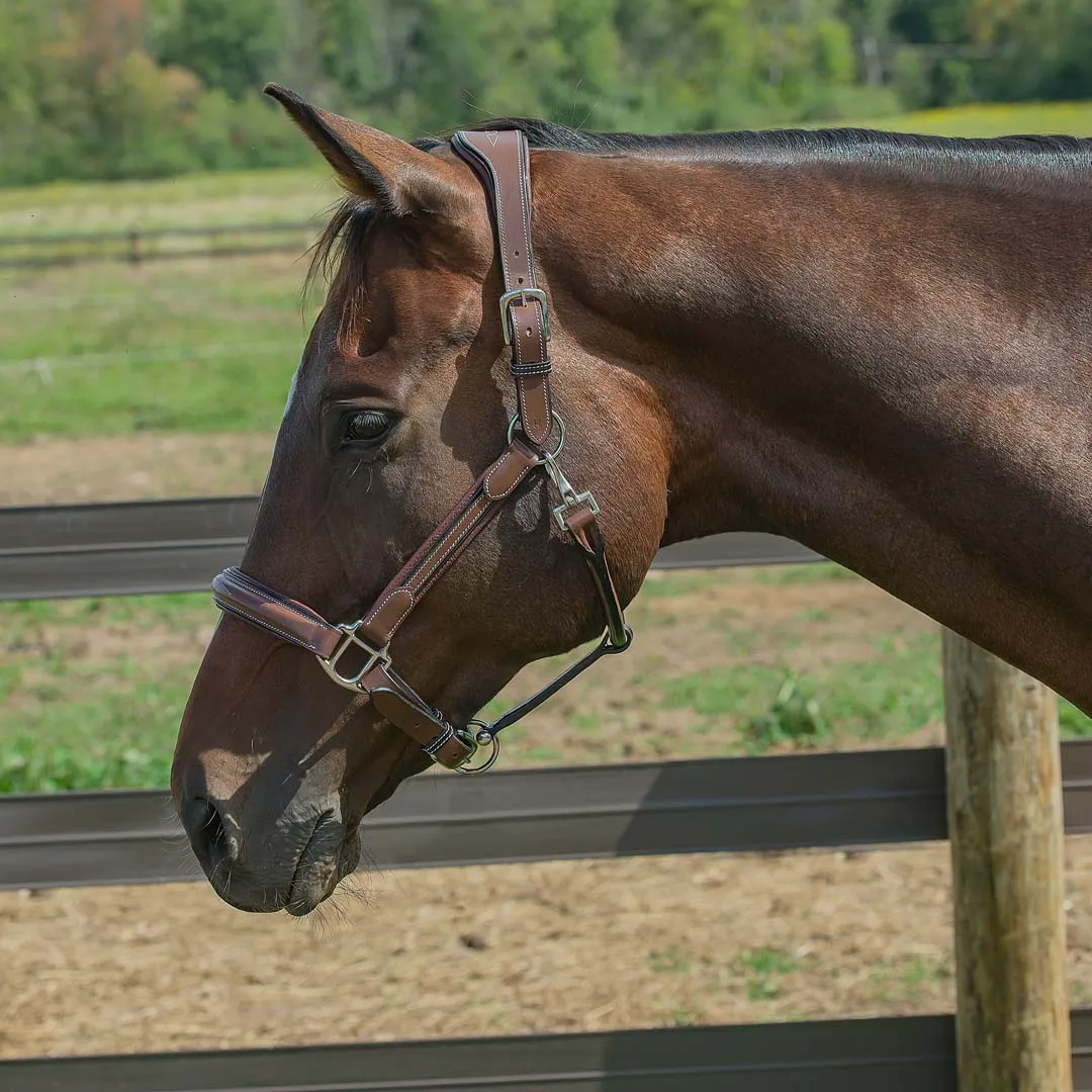 Henri de Rivel Stress Free halster australian nut cob