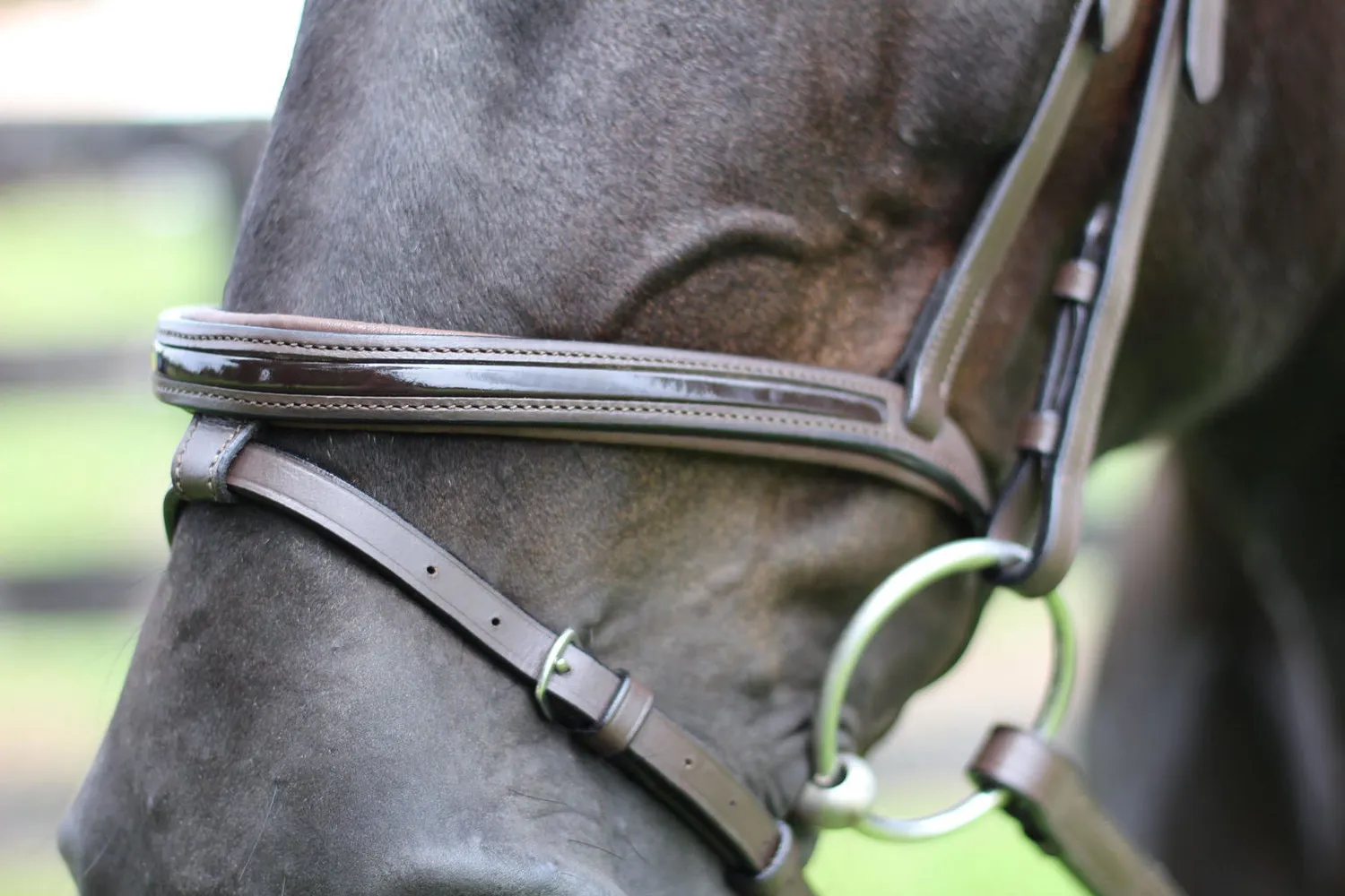 Henri de Rivel Pro Piaffe hoofdstel havana lak cob