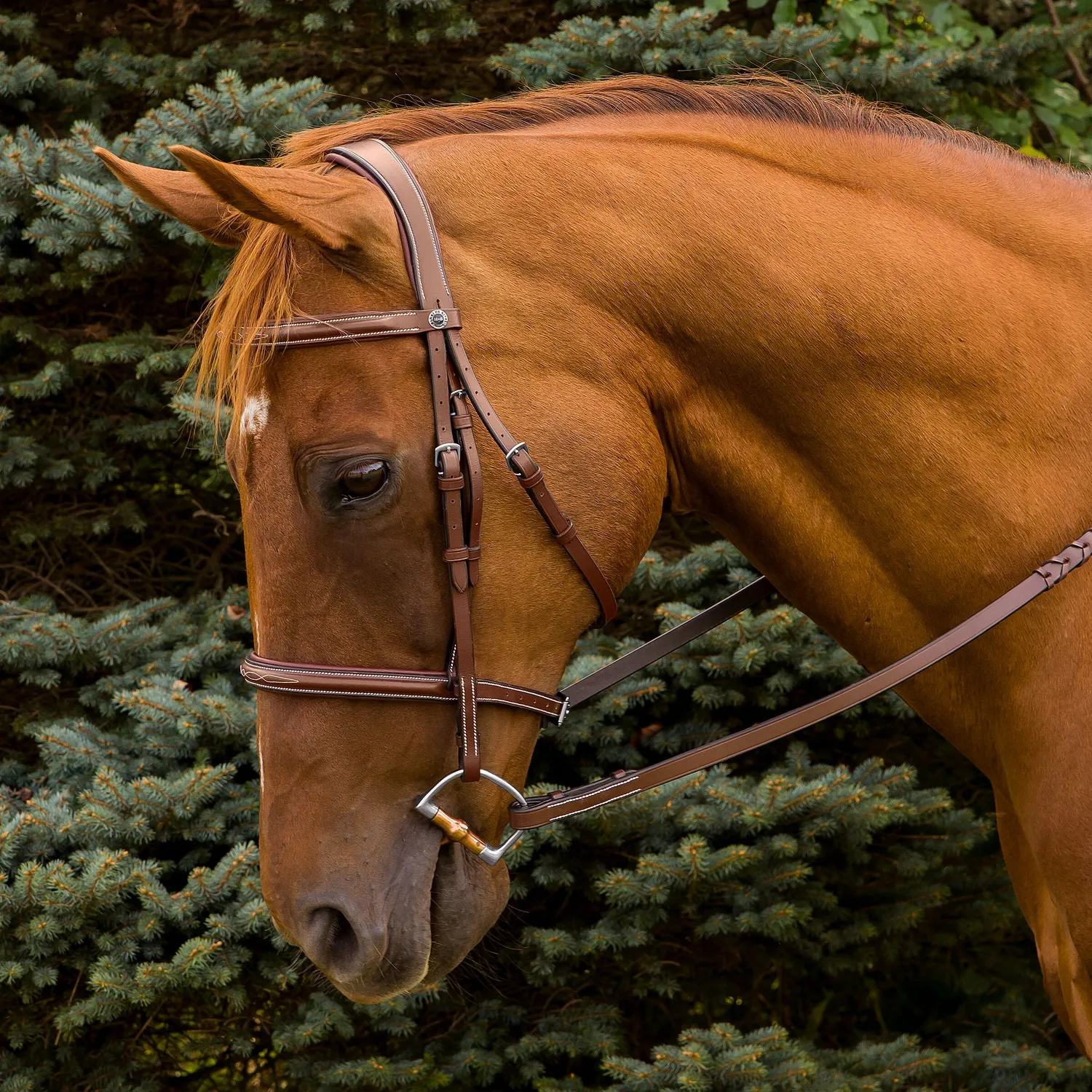 Henri de Rivel Pro Mono Crown hoofdstel cob havana