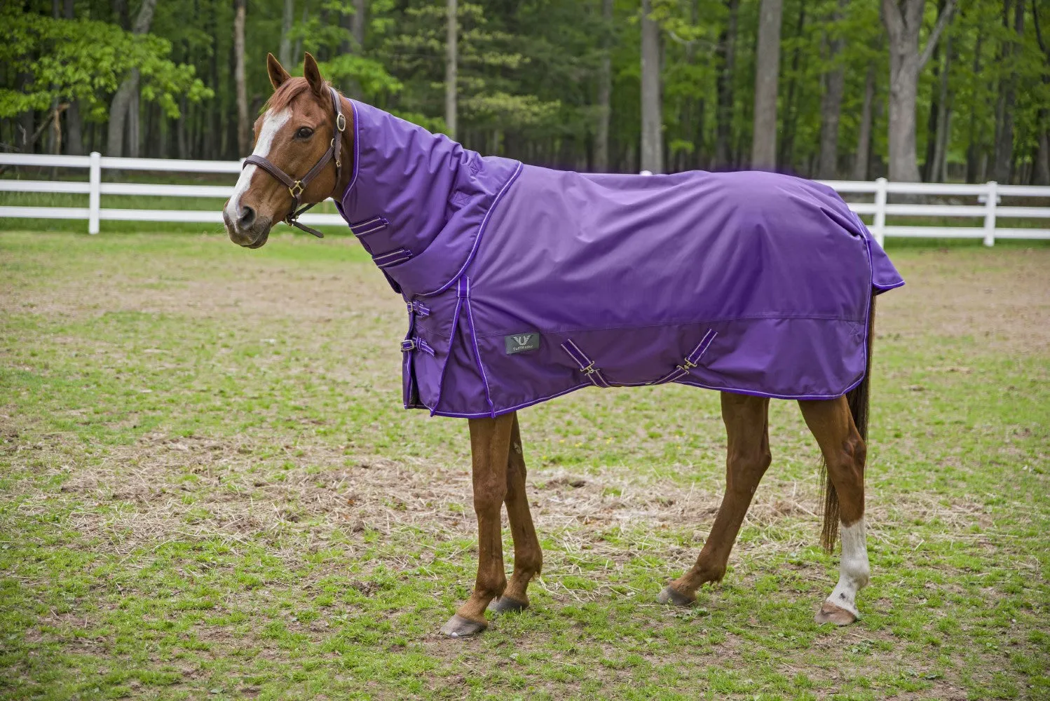 TuffRider 1680D Super Comfy winterdeken royal 350 grams