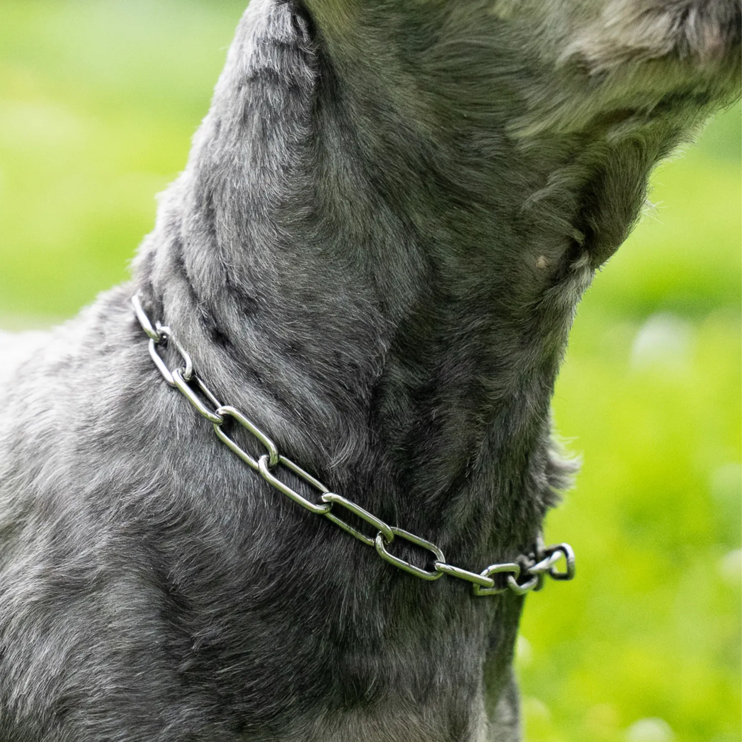 Herm Sprenger Halsketting hond 2,0 mm kleine hond
