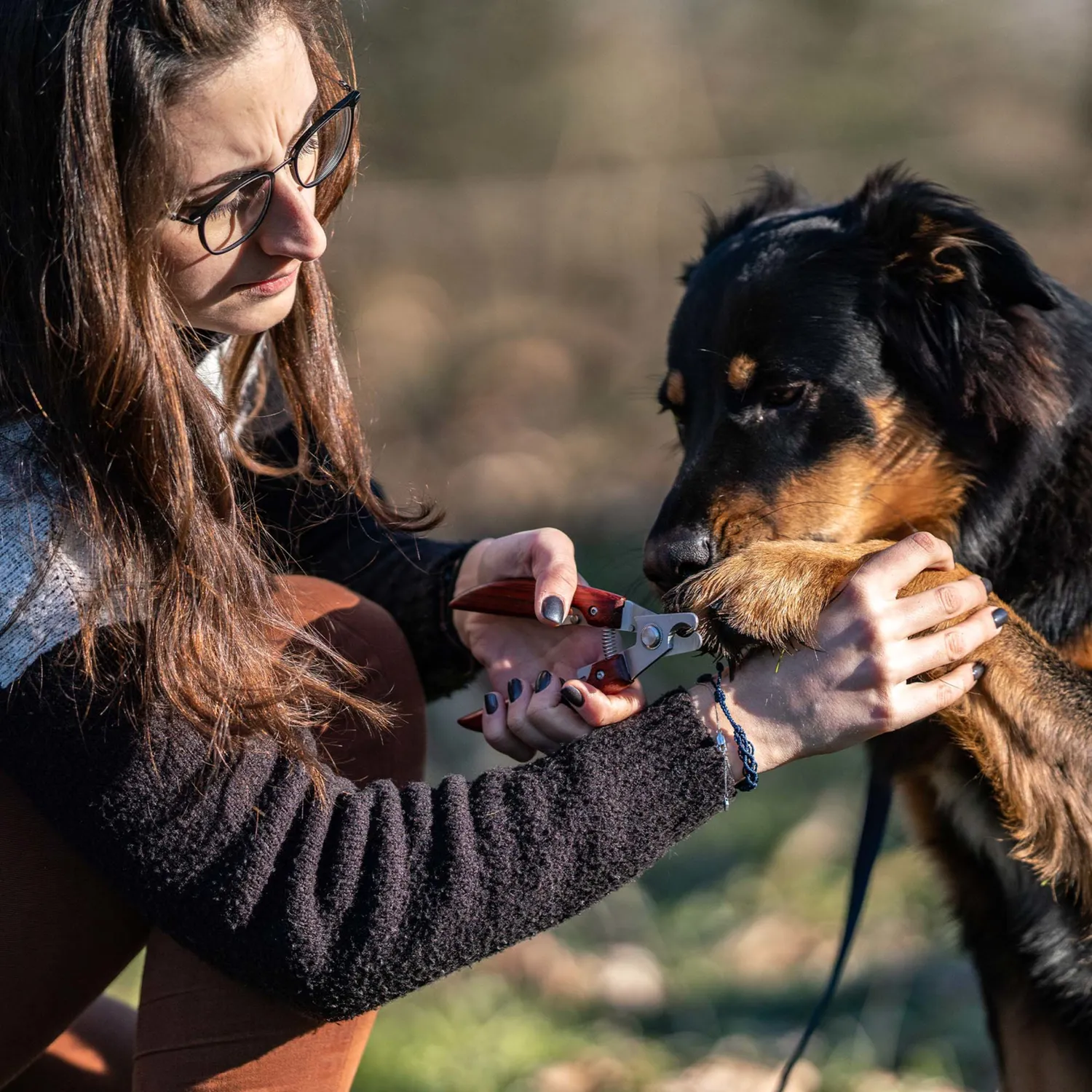 Herm Sprenger Nageltang Hond Houten Greep RVS