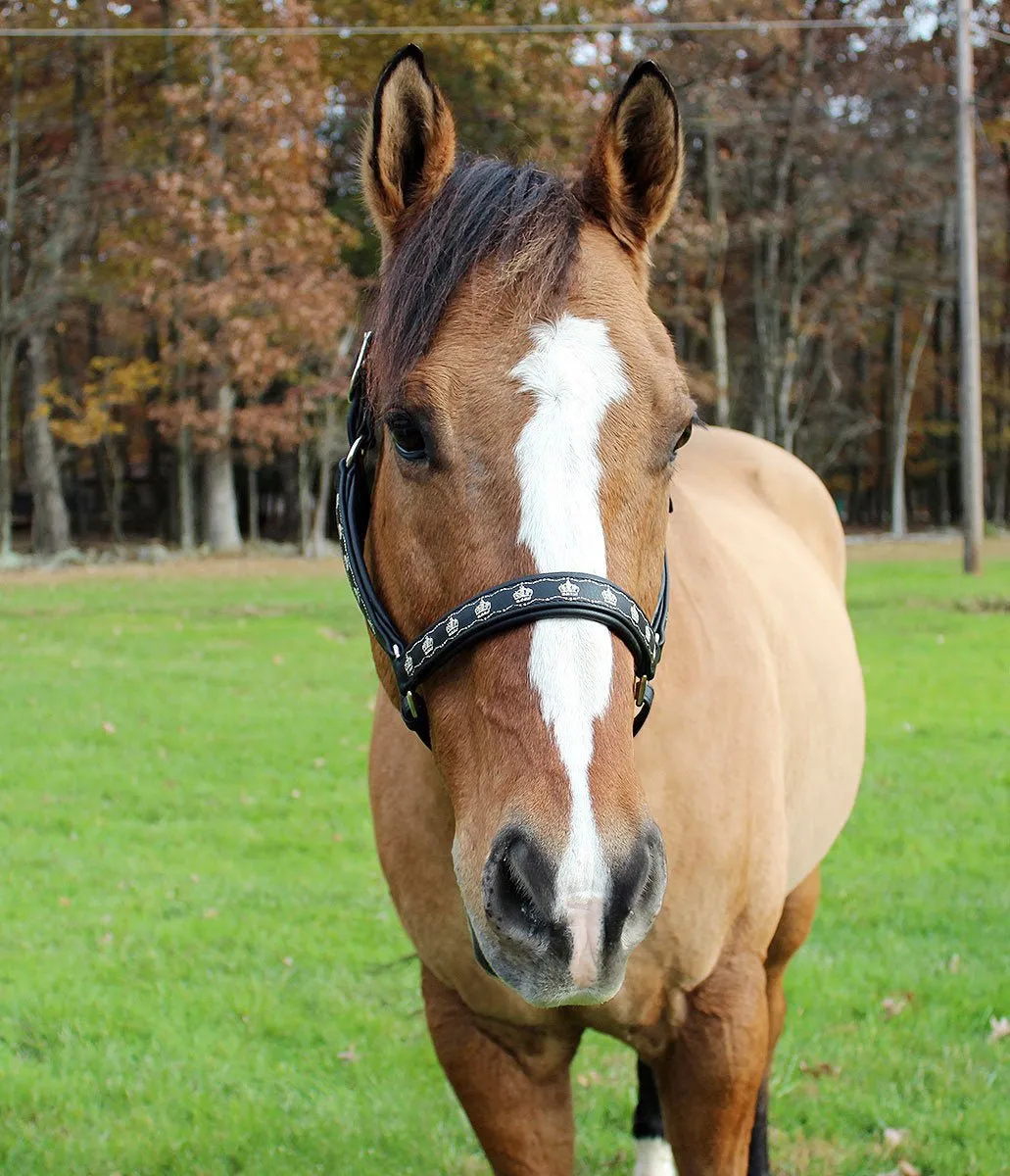 Henri de Rivel Embroidered leren halster cob