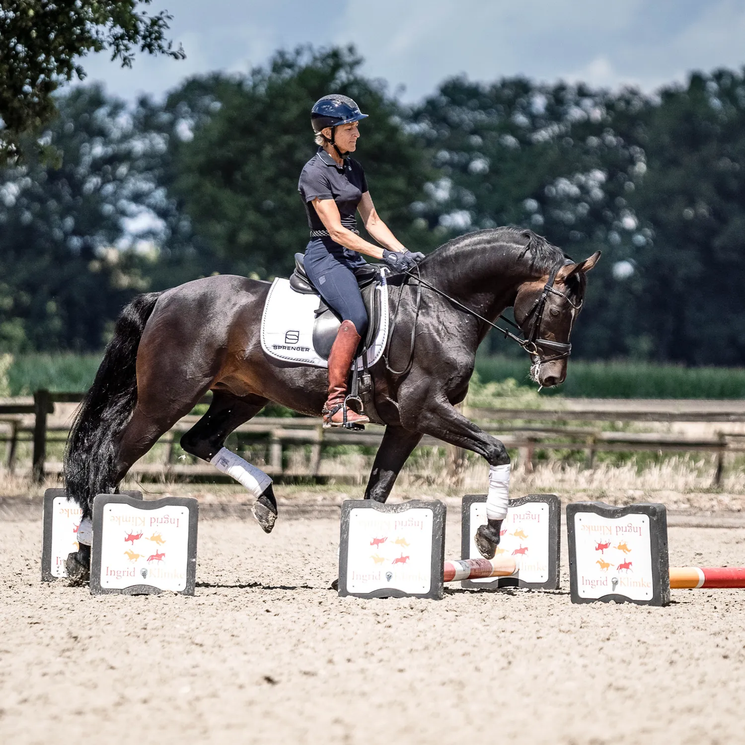 HS Sprenger Bow Balance stijgbeugels Ingrid Klimke