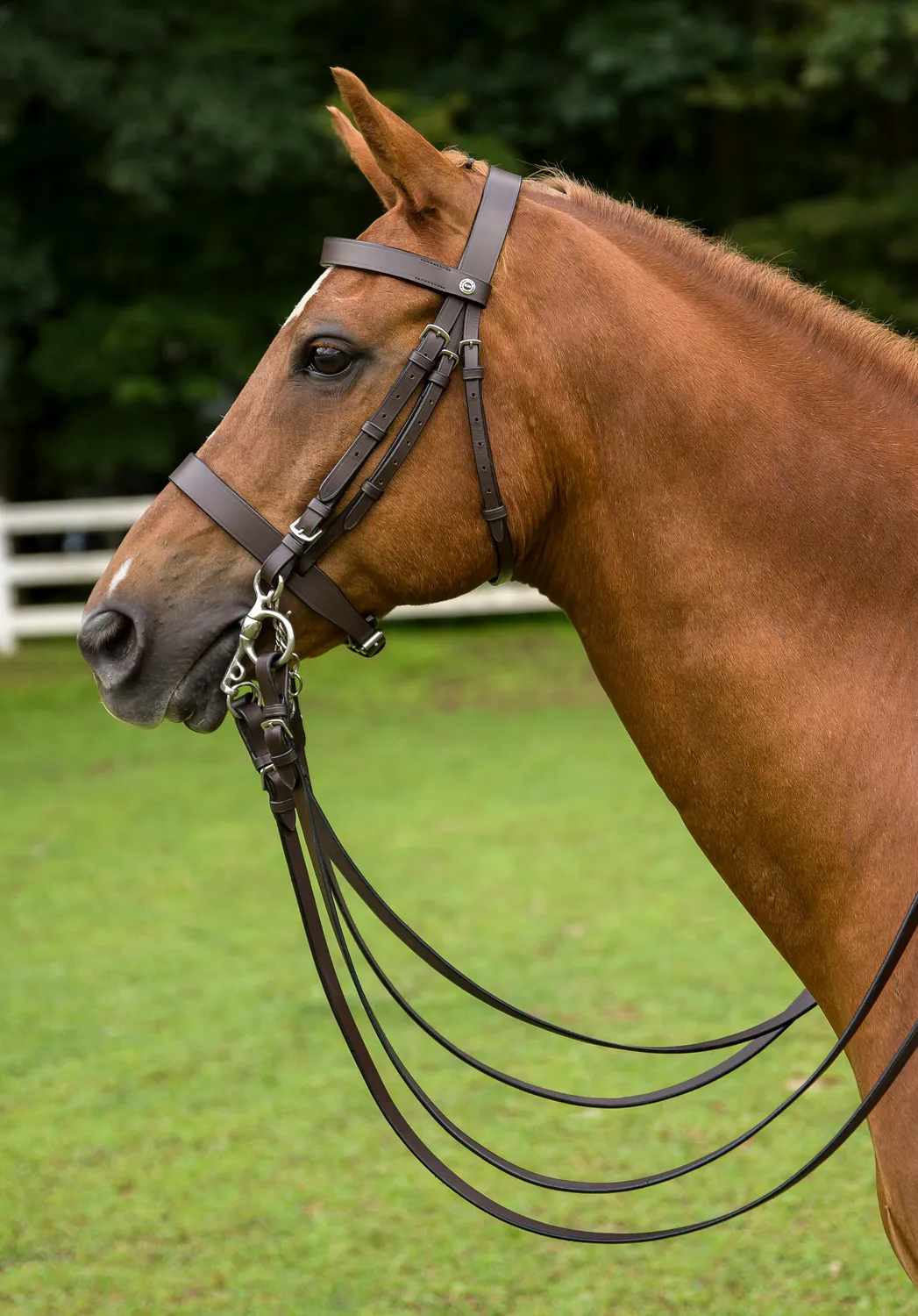 Henri de Rivel polo pelham hoofdstel leer havana cob