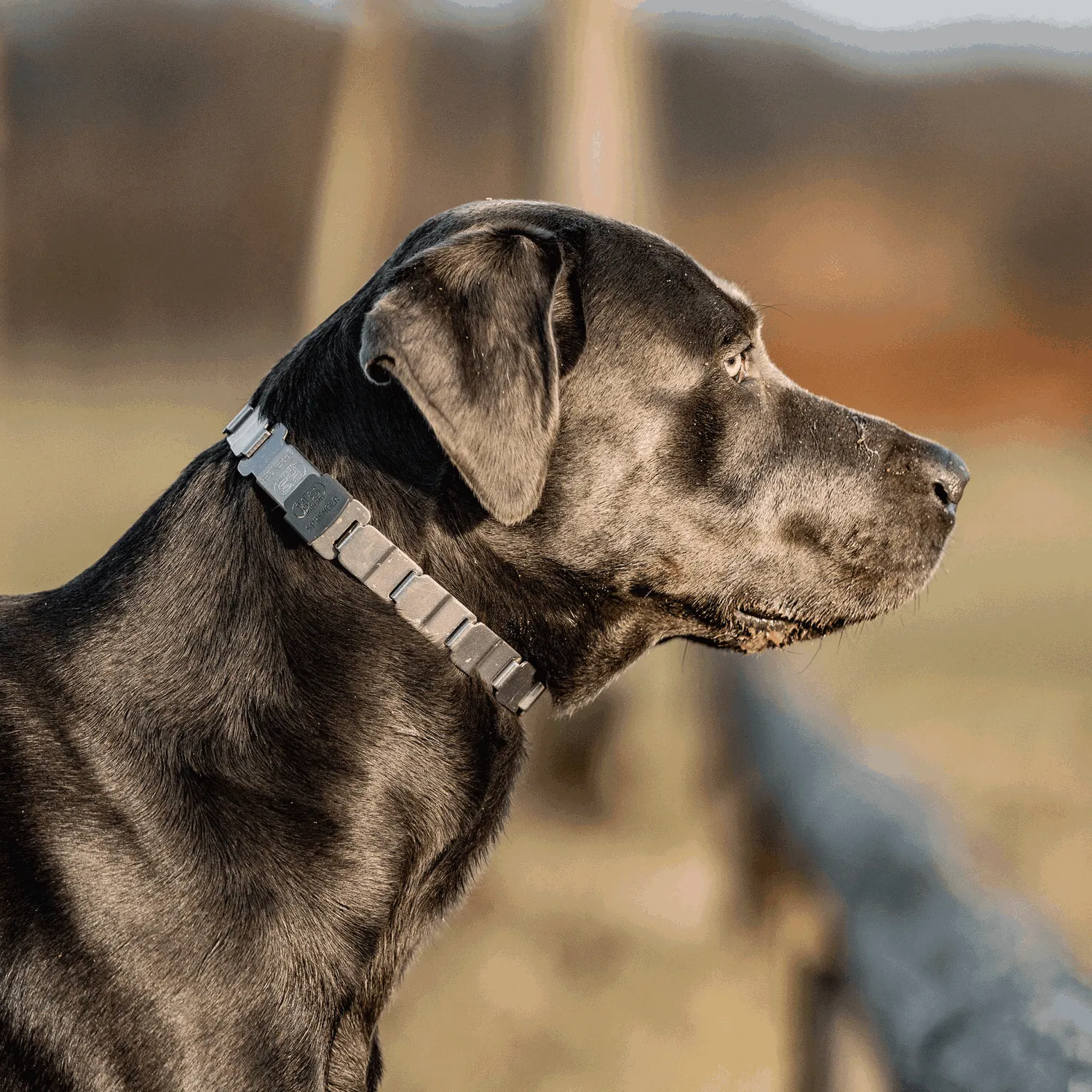 HS Sprenger NeckTech Fun honden halsband 64 cm rvs