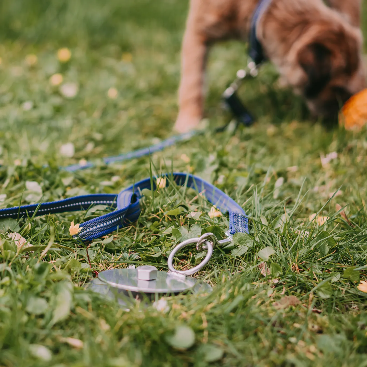 Herm Sprenger Uitloopblok Grondpen Hond RVS 40 cm