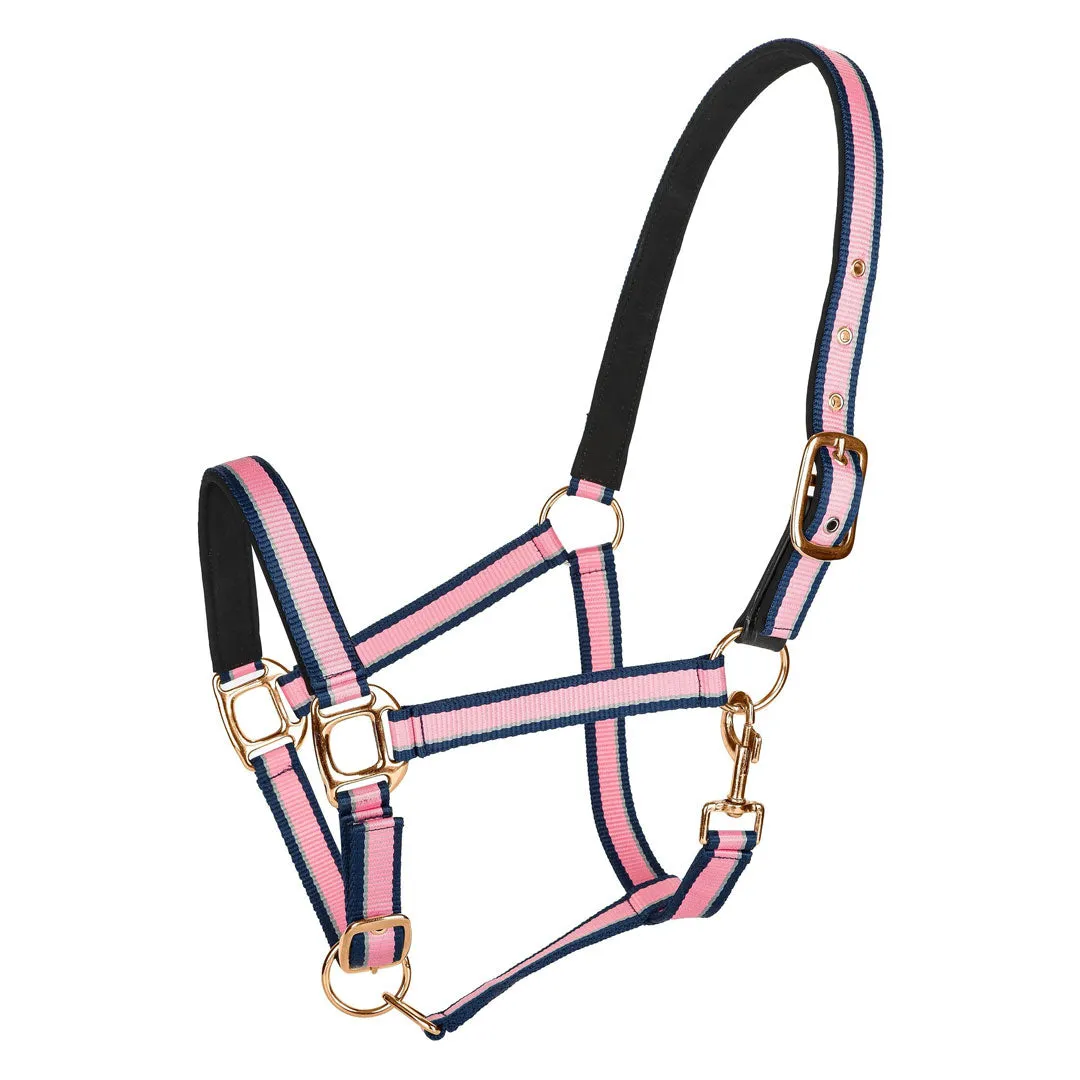 TuffRider Breakaway Padded Crown halster nylon roségoud