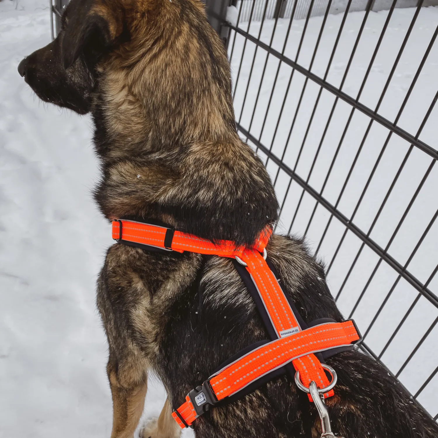 Herm Sprenger Wandern Hondentuig Set Neonoranje S 3-delig