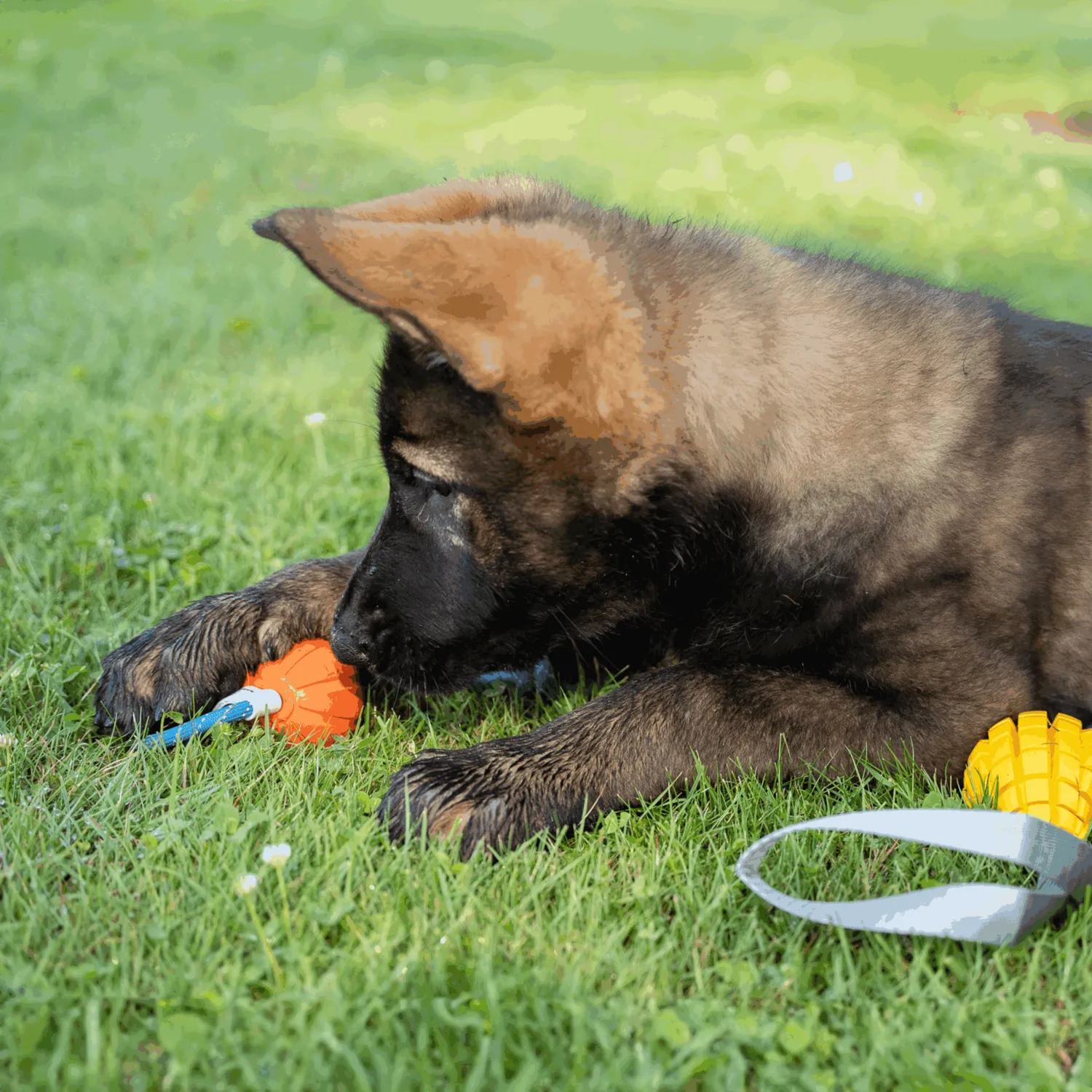 Herm Sprenger Puppyspeelgoed Set 3-delig katoen