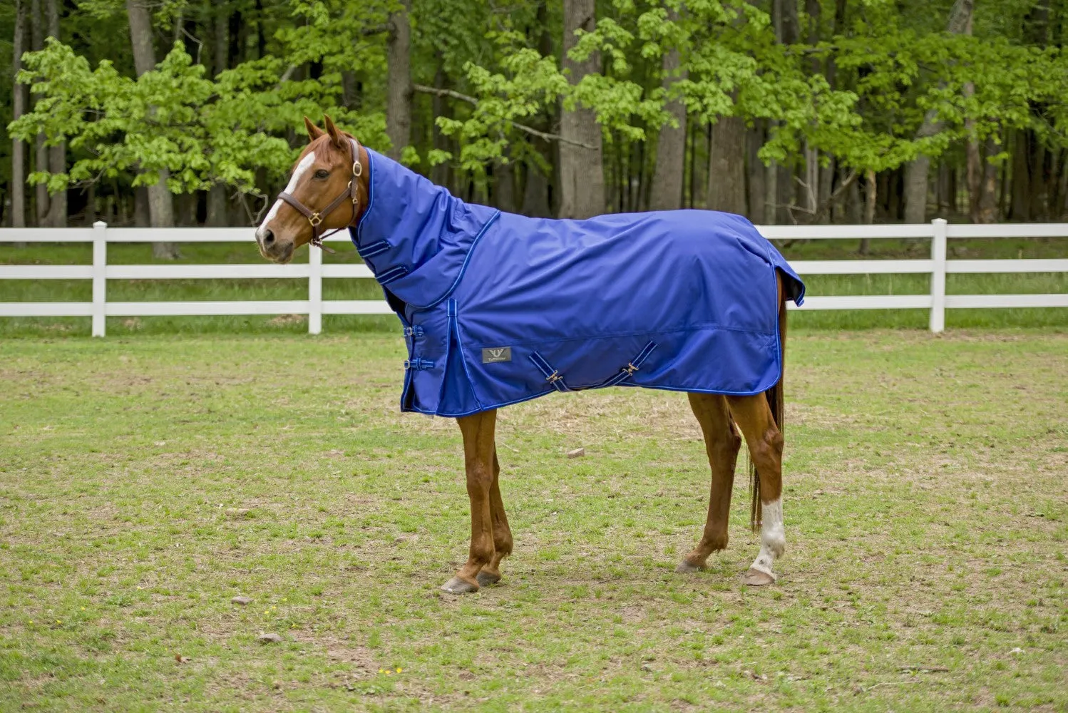TuffRider 1680D Super Comfy winterdeken royal 350 grams