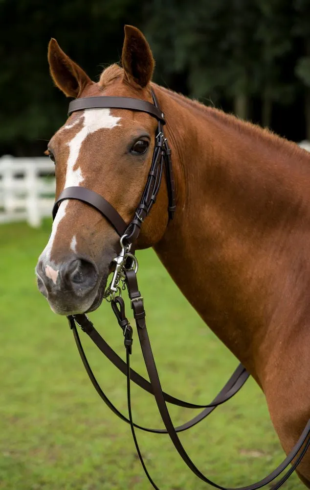 Henri de Rivel polo pelham hoofdstel leer havana cob