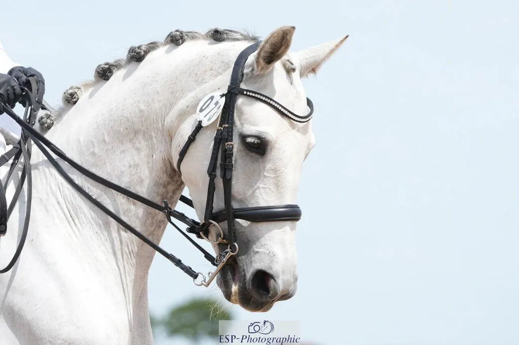Quick Knot Deluxe Standaard vlechtclips zwart dunne manen