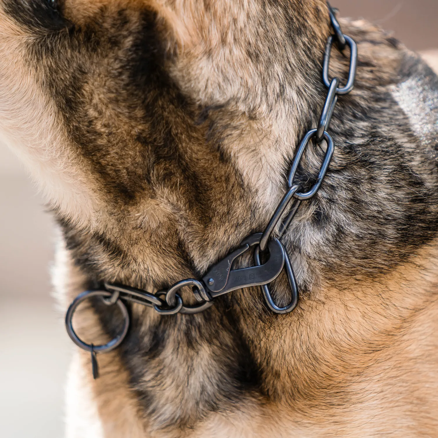 HS Sprenger Honden Halsketting RVS Zwart 4 mm Langschalmig