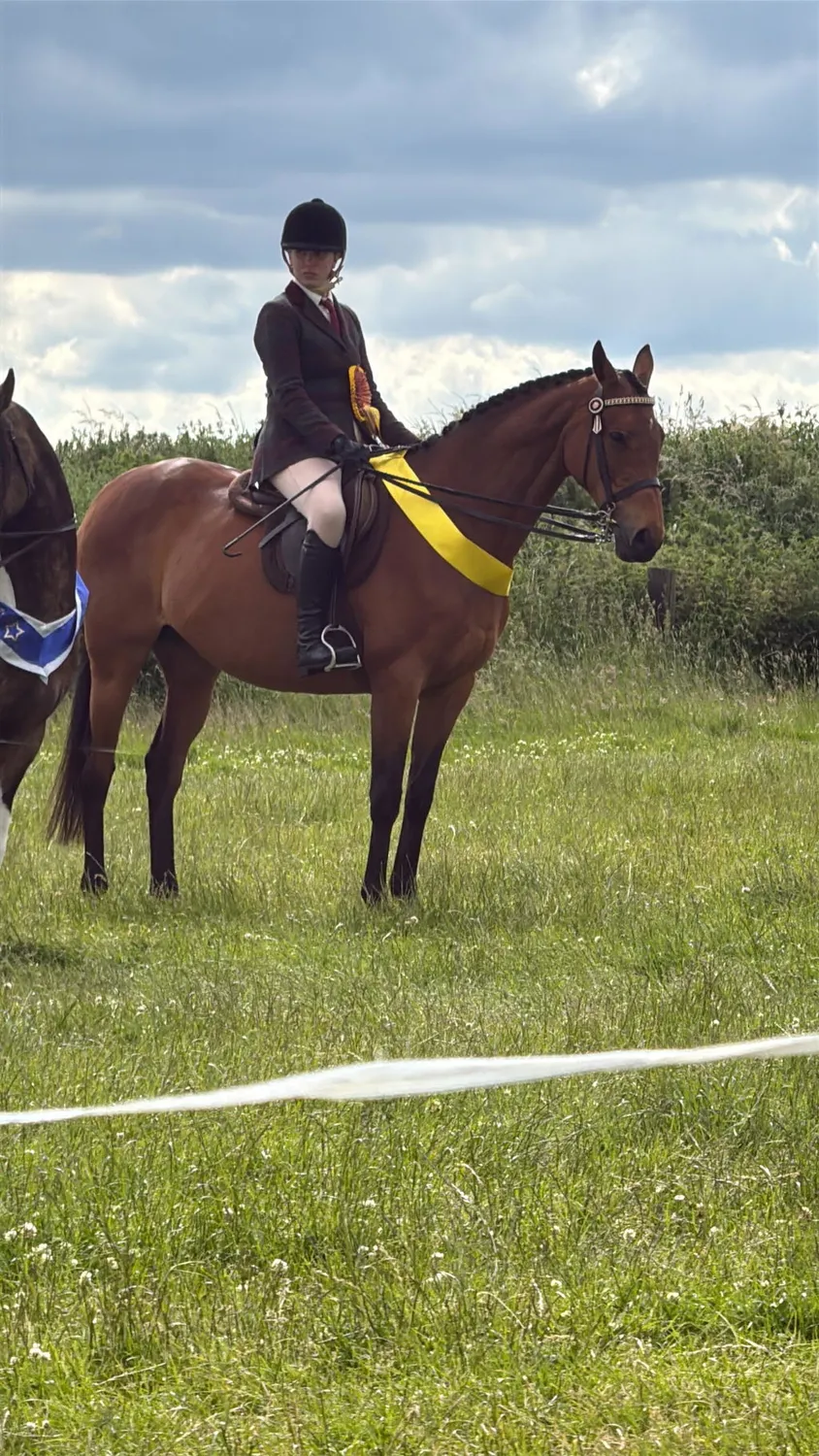 Quick Knot Deluxe Standaard vlechtclips zwart dunne manen