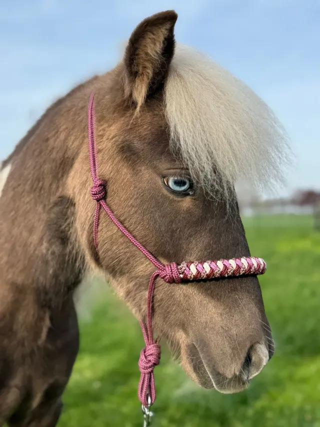 Mushabu Simphony touwhalster fishtail gevlochten
