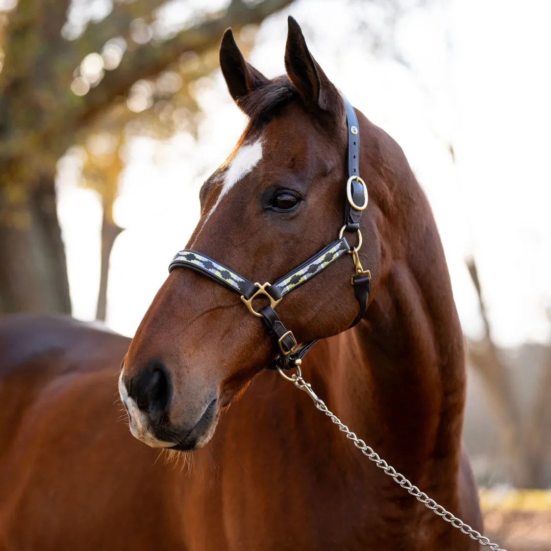 Henri de Rivel Embroidered leren halster cob