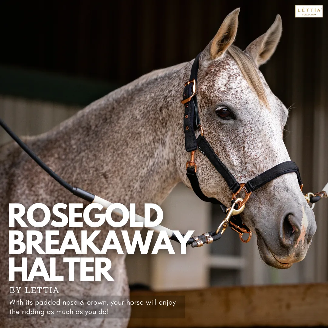 Lettia Rosegold leren halster breakaway zwart cob