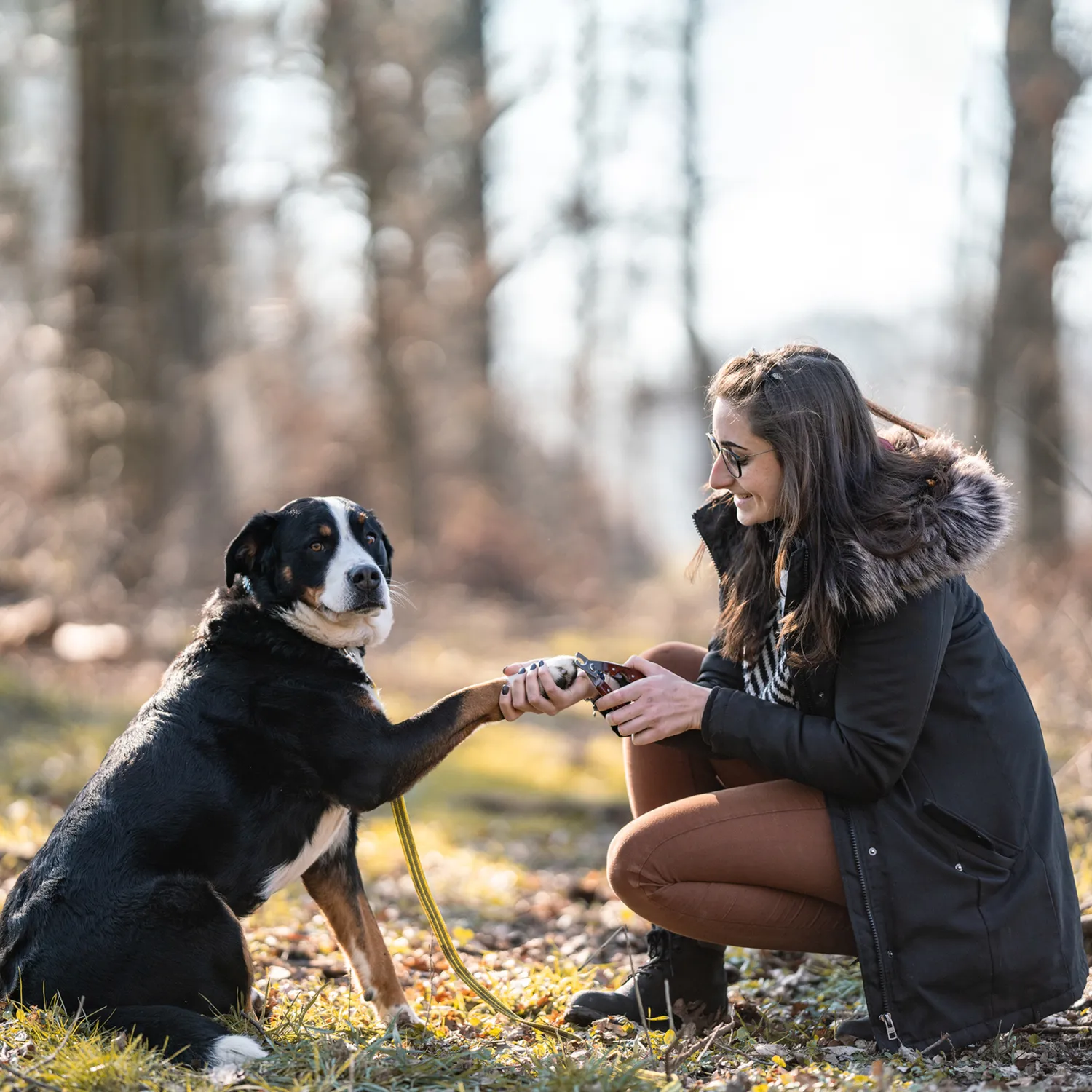 Herm Sprenger Nageltang Hond Houten Greep RVS
