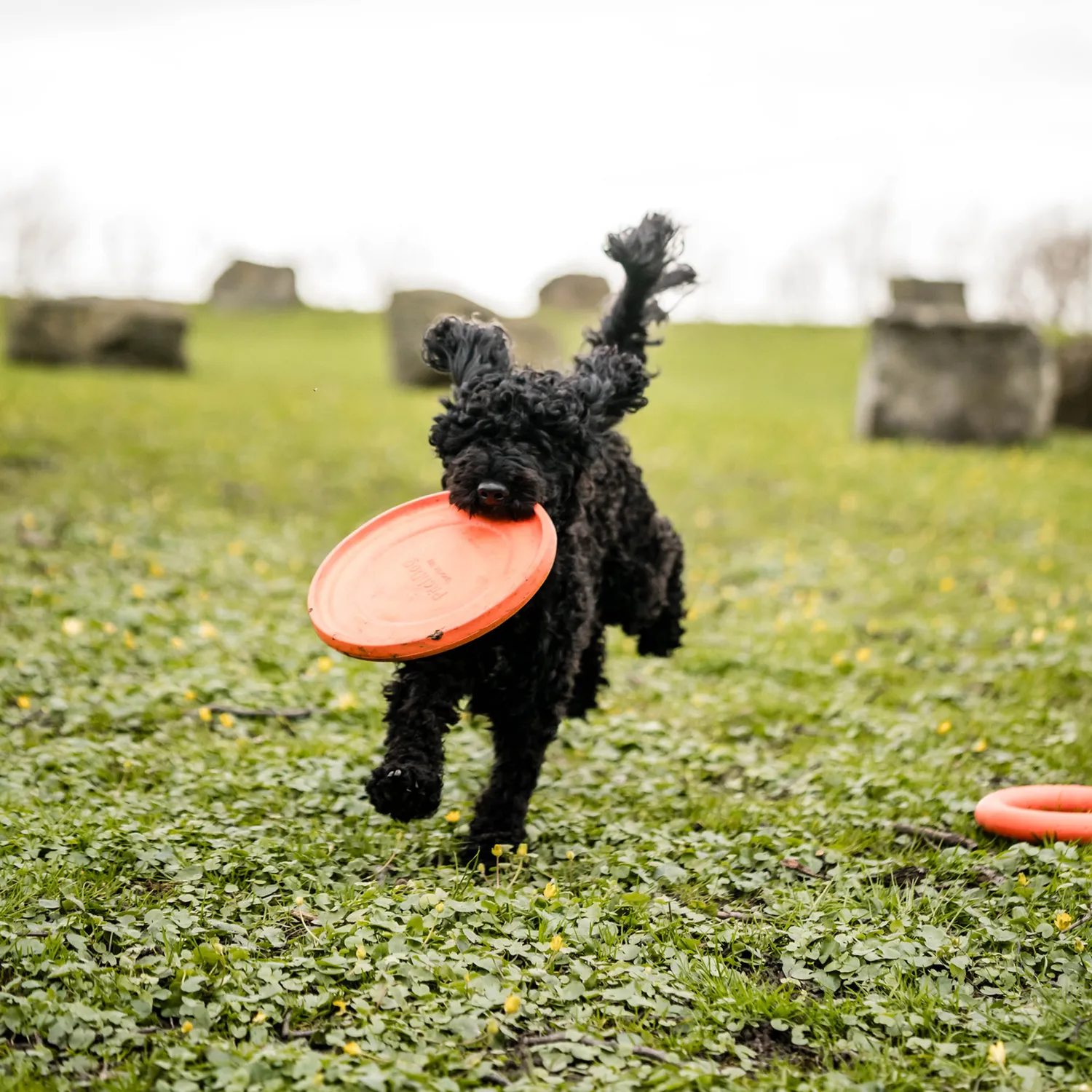 HS Sprenger 5819912177 frisbee zacht drijvend