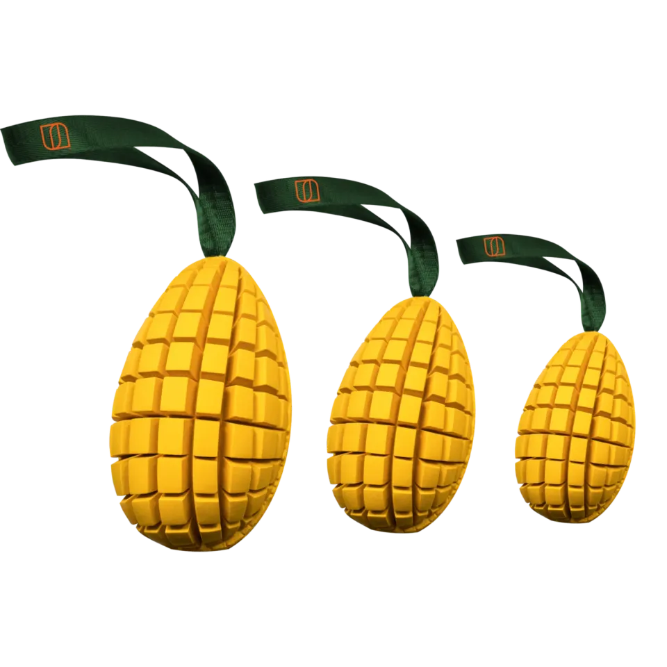 Sprenger Fruit Challenge Mango hondenspeelgoed M