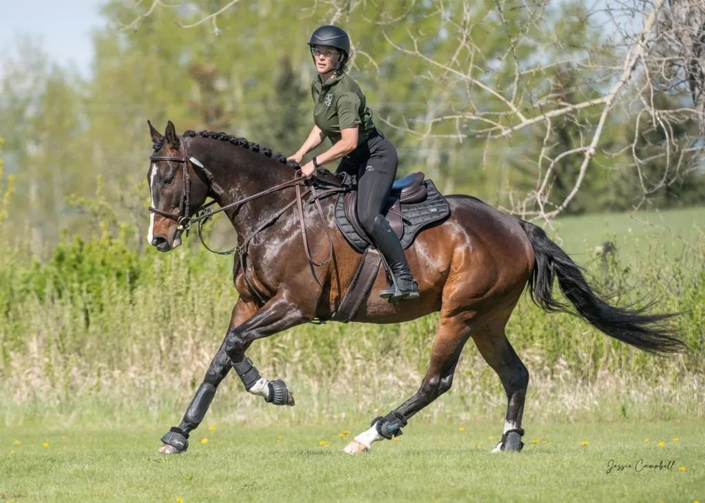 Quick Knot Deluxe Standaard vlechtclips zwart dunne manen