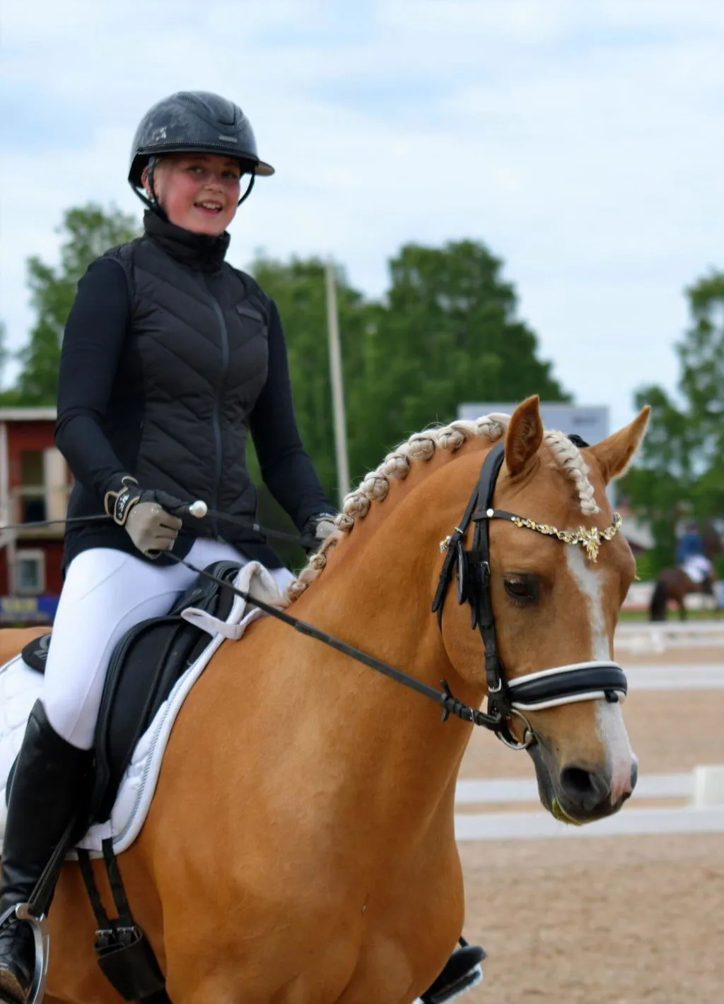 Quick Knot Deluxe Standaard vlechtclips zwart dunne manen