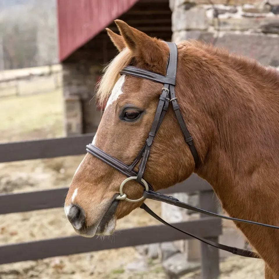 Henri de Rivel Pro Mono Crown hoofdstel havana horse gevoerd