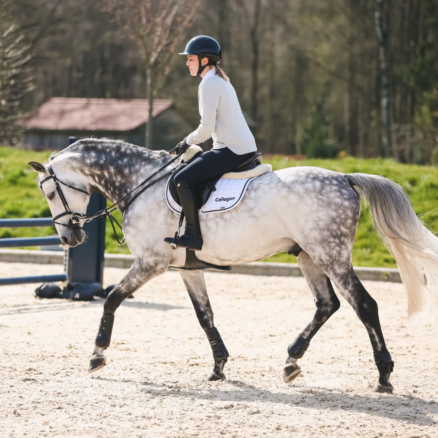Nathe Opzettrens 20mm flexibele staaf paard