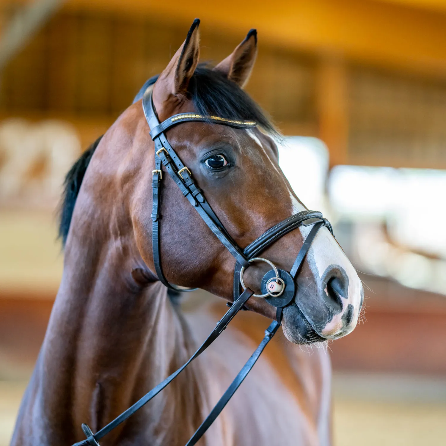 Herm Sprenger Nathe Standaardbit 20 mm paardenbit 130 mm met ring